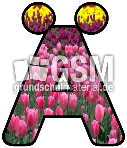 Dekobuchstaben-Tulpe_Ä.jpg